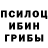 Псилоцибиновые грибы мухоморы SANDEMOR