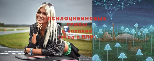 прущий лед Алексин