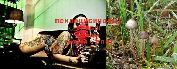 прущий лед Алексин