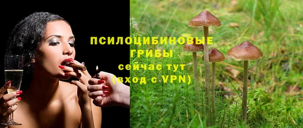 твердый Алексеевка
