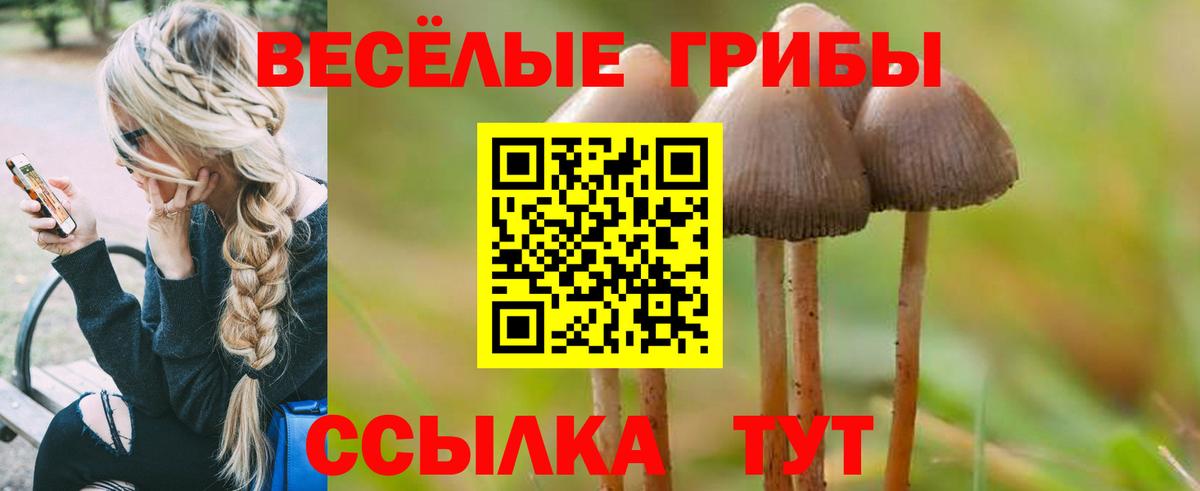 Саров  Псилоцибиновые грибы мухоморы  Вход с VPN  Псилоцибиновые грибы GOLDEN TEACHER 